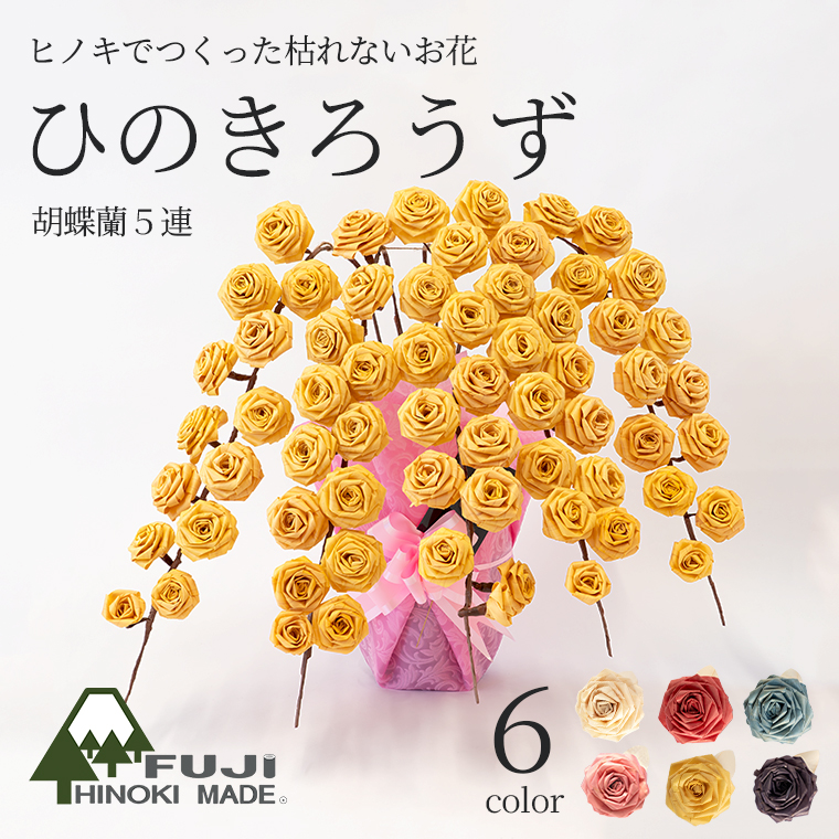 ひのきろうず胡蝶蘭風5連