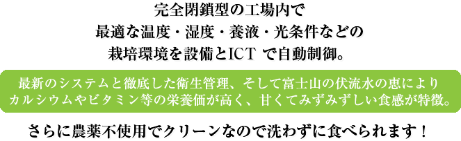 無農薬でクリーンなので洗わずに食べられます！